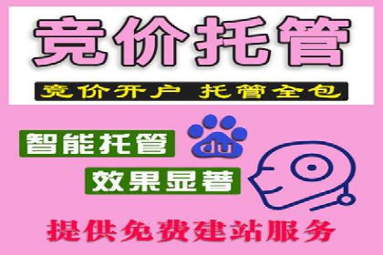 SEM托管公司案例：品牌提升